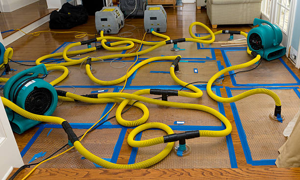 Professional Water Extraction technician working in Takoma Park, MD